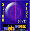 Slick Pick Silver