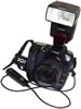 Canon Speedlite 550EX mounted on D60